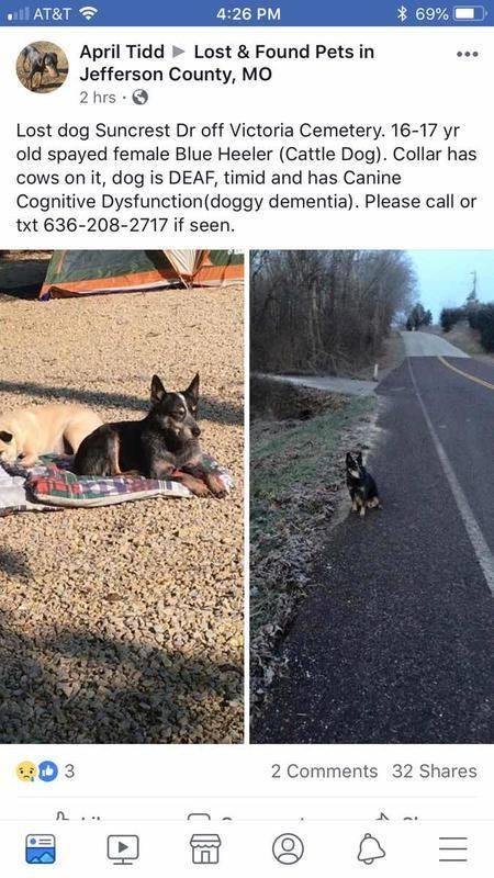 Hope the owner is found.