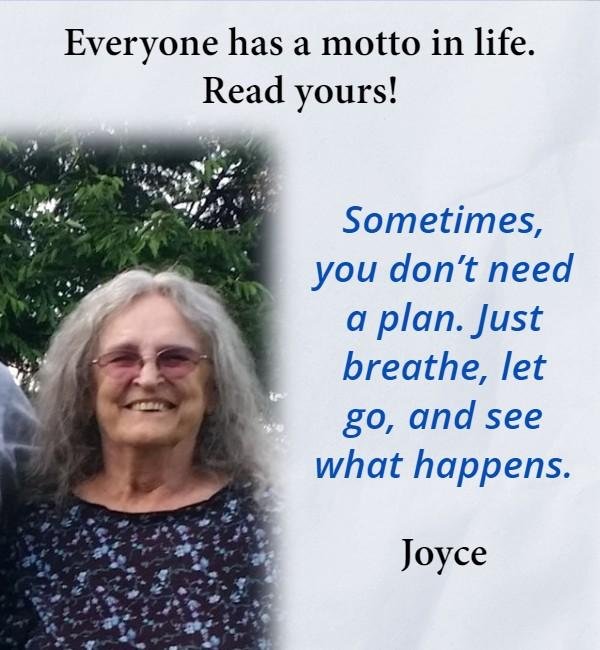 Joyce Harvey's album, Timeline photos