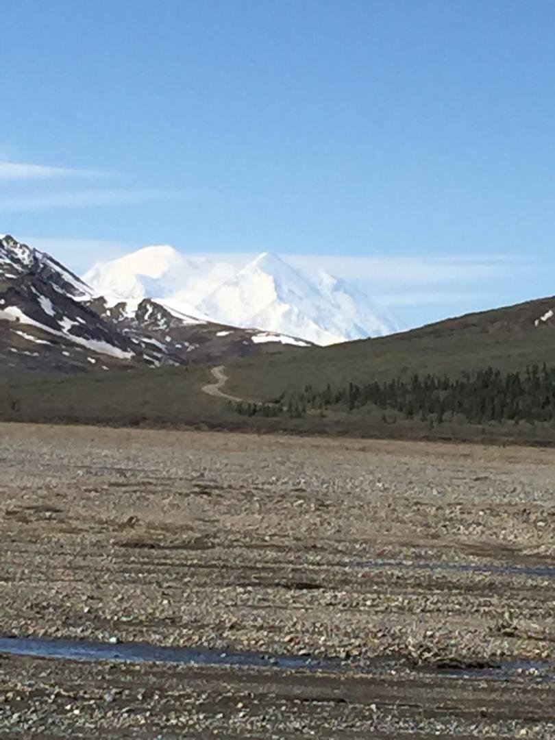 Mt. Denali