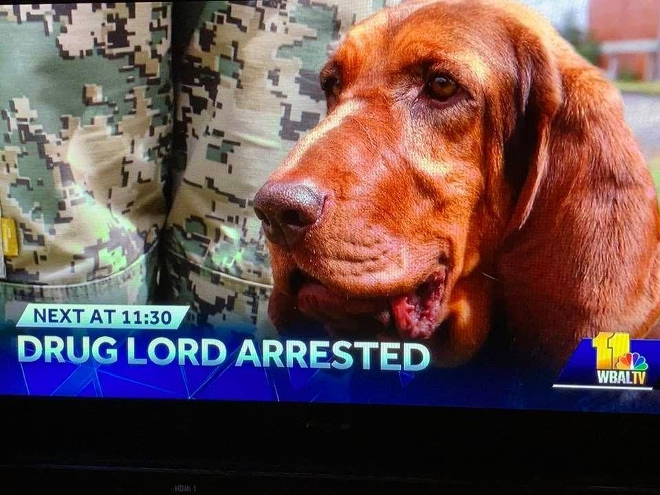 Wow