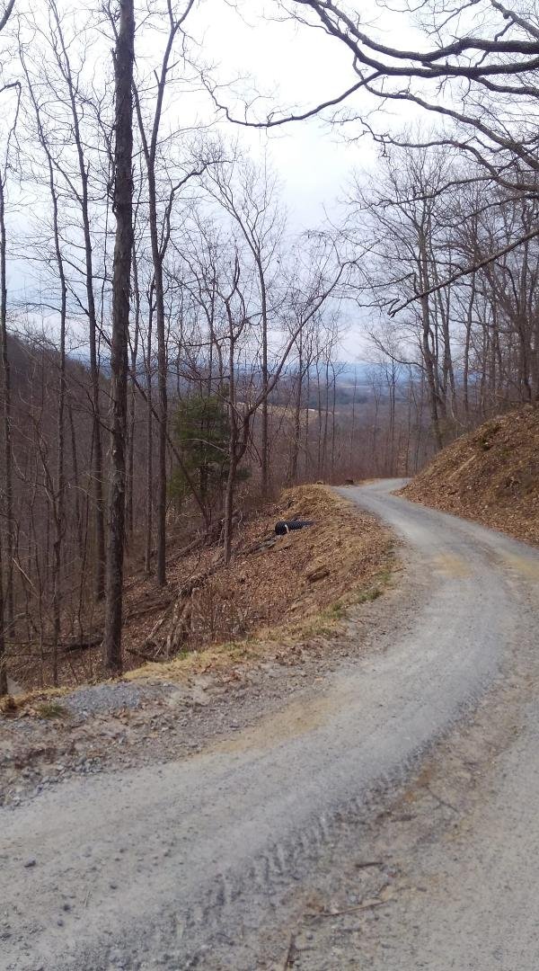 70 degrees 3/11 mountains and gravel great day for a bike ride!!