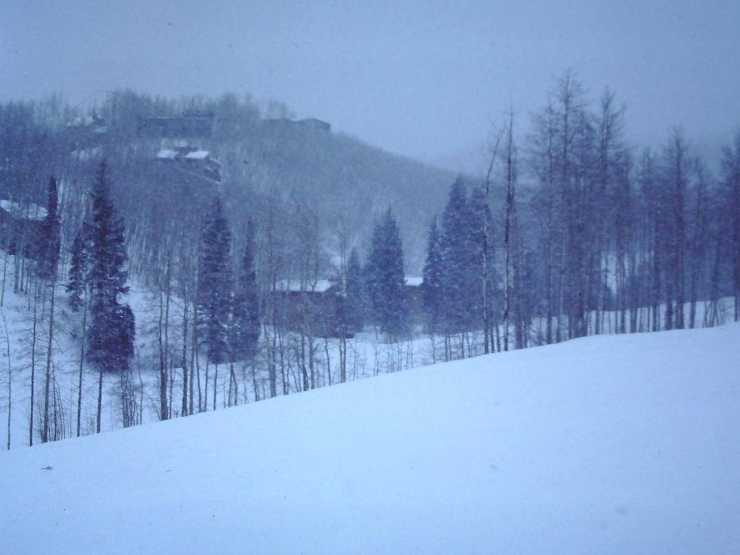 So far this week I've skied Stowe, Sugarbush and Smuggler's Notch. Ten inches of fresh powder is expected overnight. Back to the slopes at Stowe!
