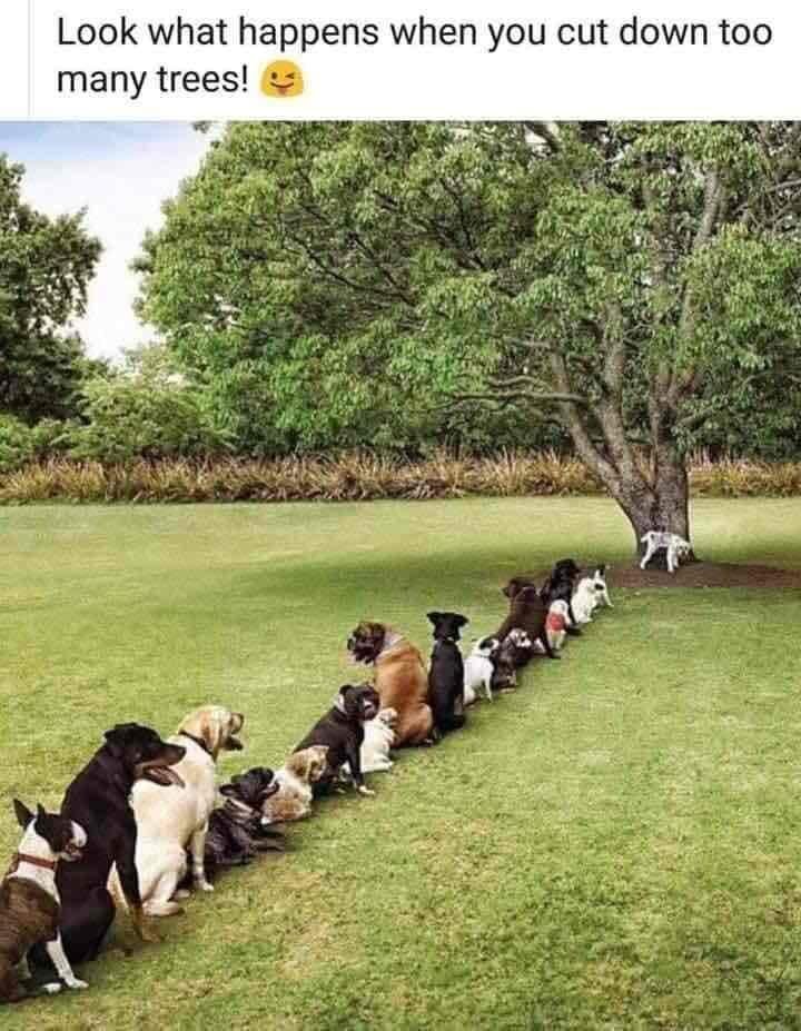 Now, this is funny!!