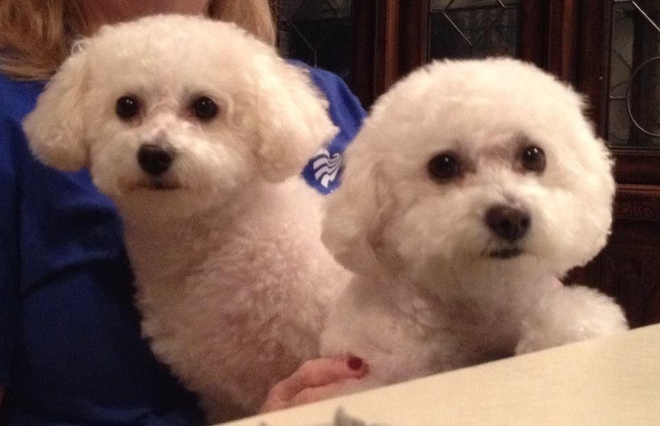 Melanie Hamilton here are my babies!