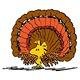 HAPPY THANKSGIVING TO ALL MY FAMILY AND FRIENDS!