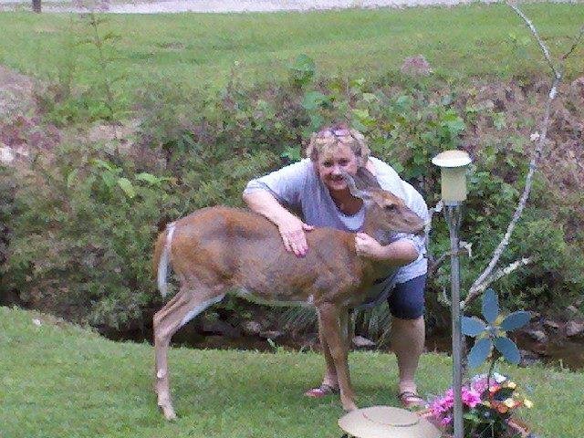 Carol's buddy