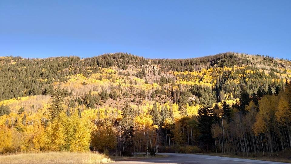 Fall colors outside Chama