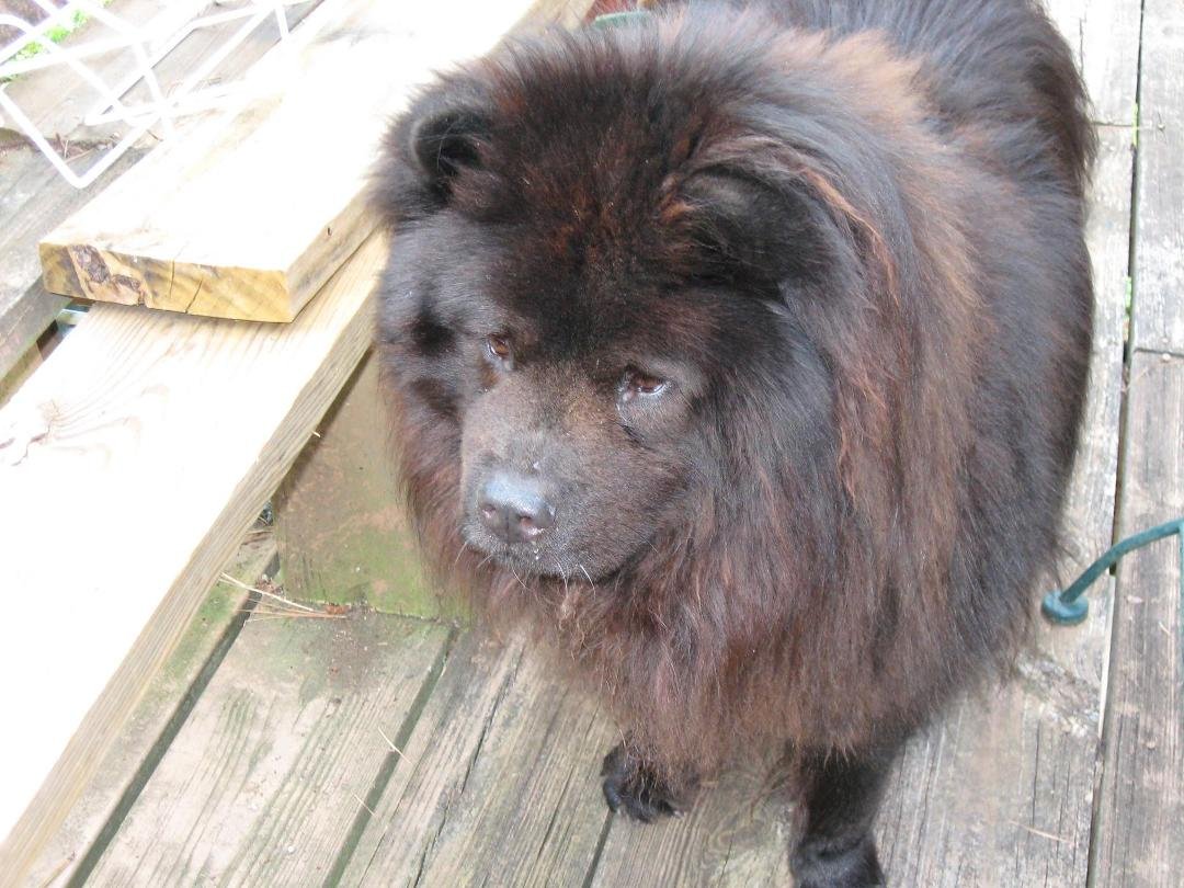 MY BEST BUD.