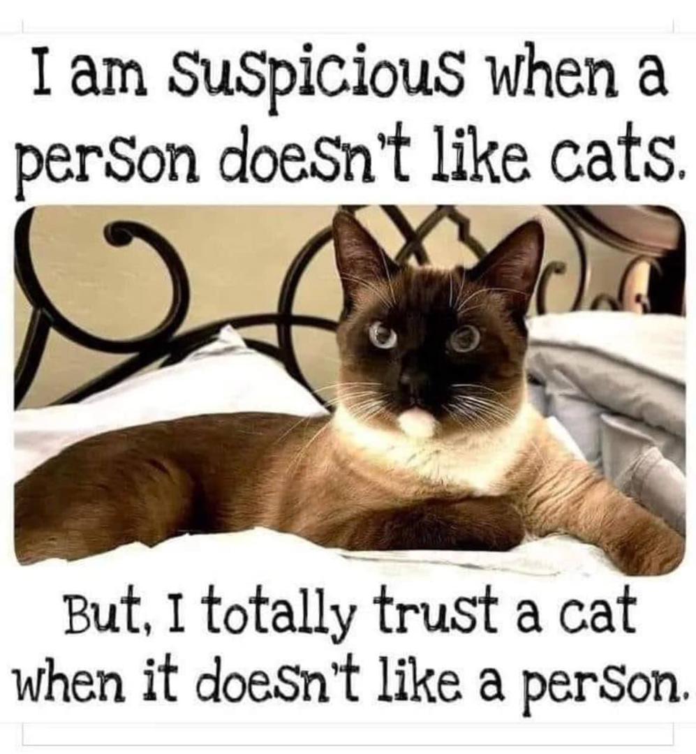 Sylvia DeBorger's album, Timeline photos