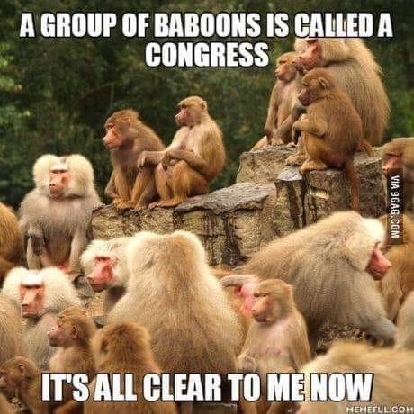 Molly (Dibble) Anderson's album, Timeline Photos