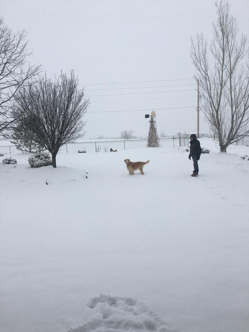 We got are first snow of the year, jersey loves the snow ❄️