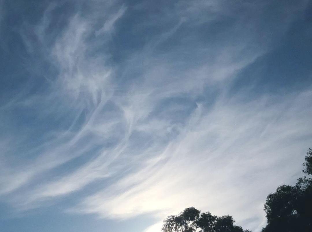 This morning's sky while I walked Missy