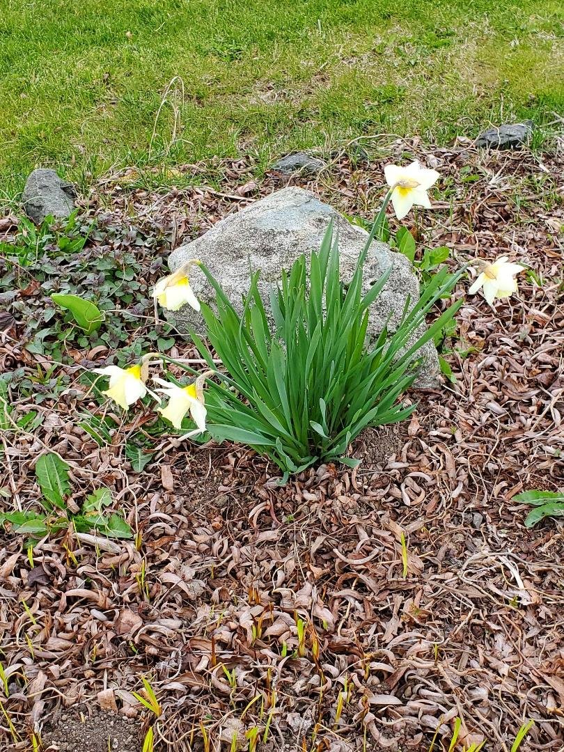Steve Saunders' album, Timeline photos