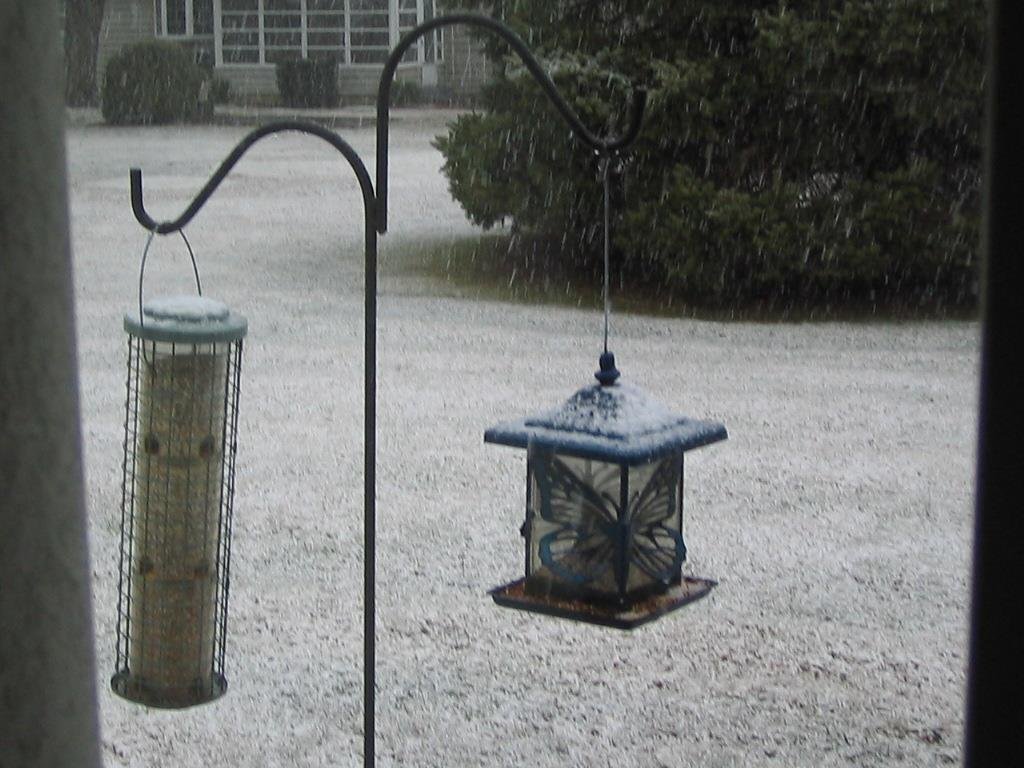 I guess the joke's on us...the first day of our first spring in Dover!