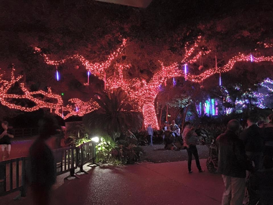 Zoo lights 2015