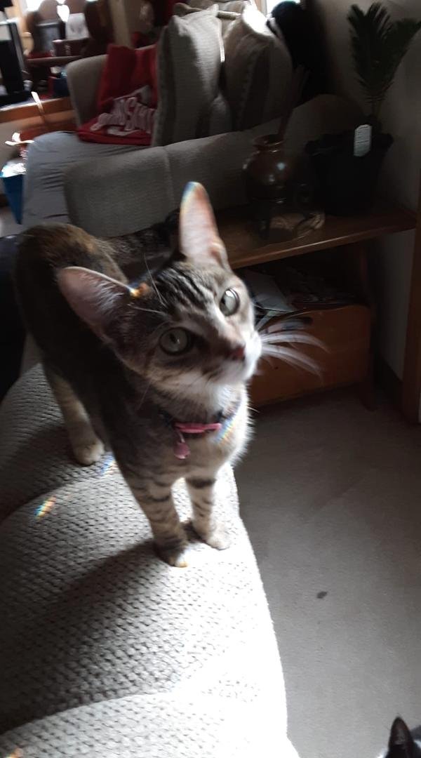 Sarina Debord this is the look i got after she jumped down lol
