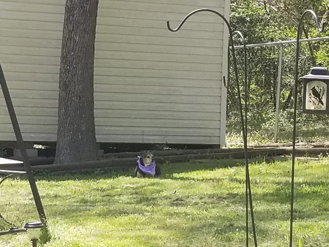 my sweet girl, I'm in the sun, she's in the shade, cool, but gorgeous day