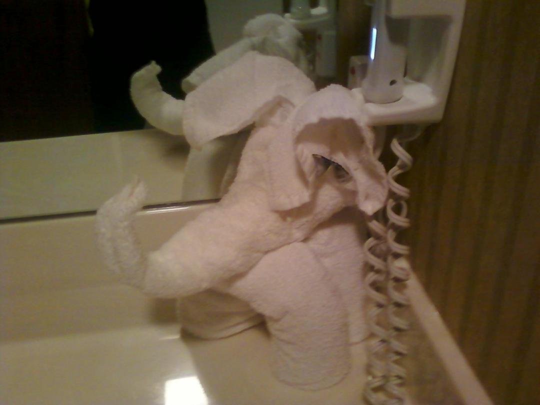 Towels made into an elephant in our bathroom of the honeymoon suite