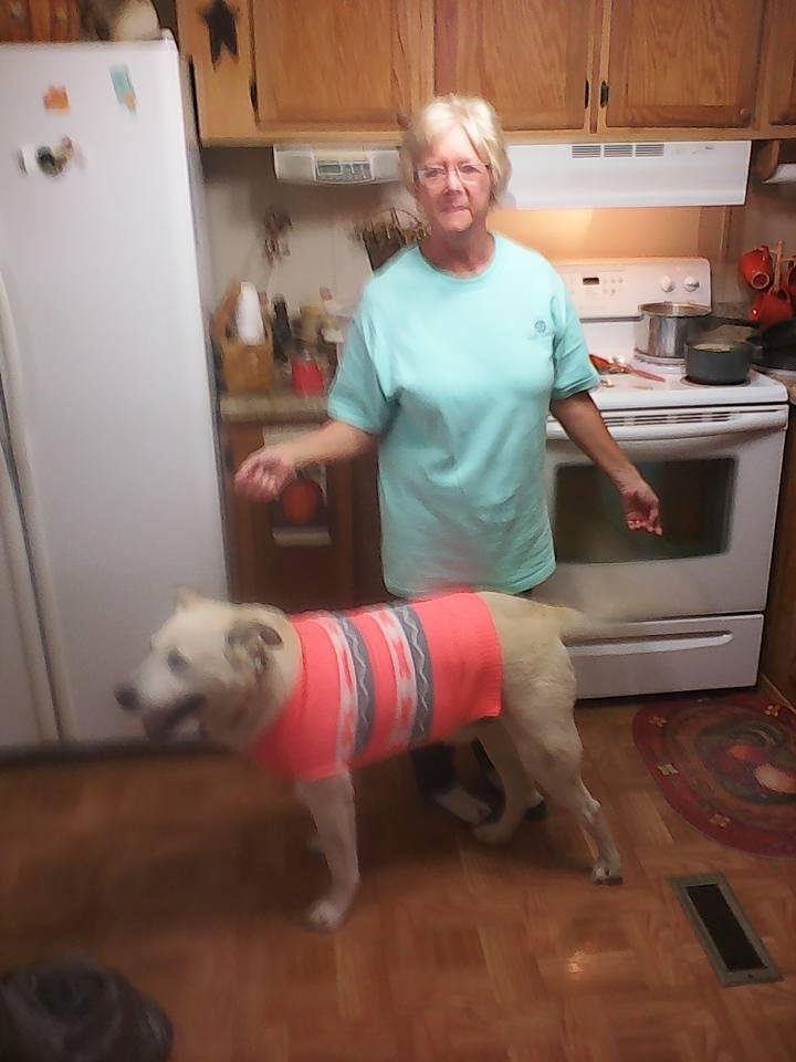 raymond senter's album, Mobile Uploads