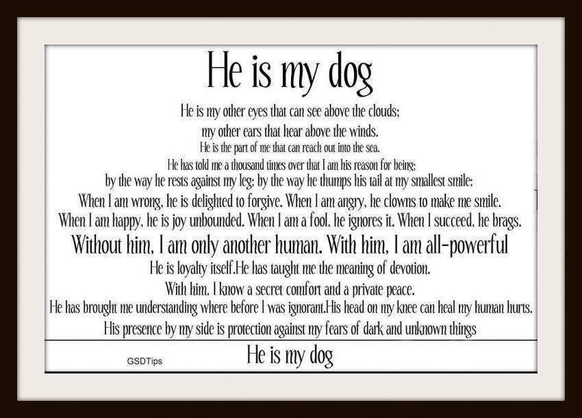David Higgins' album, Timeline Photos