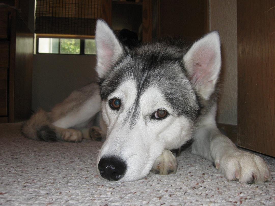 Hera