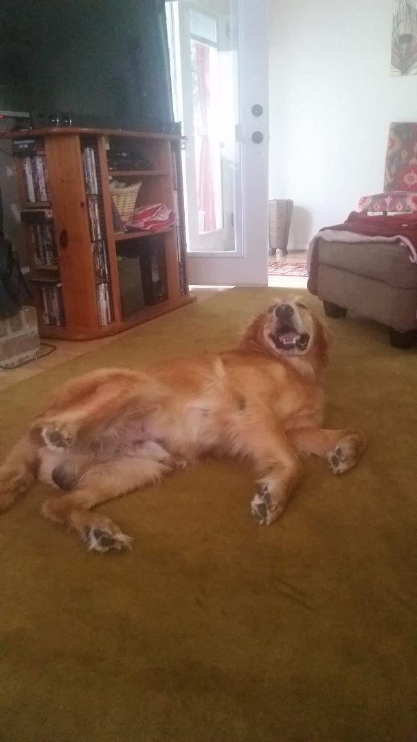I think Boone is officially at home.