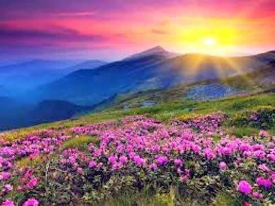 Good Morning everyone!!!