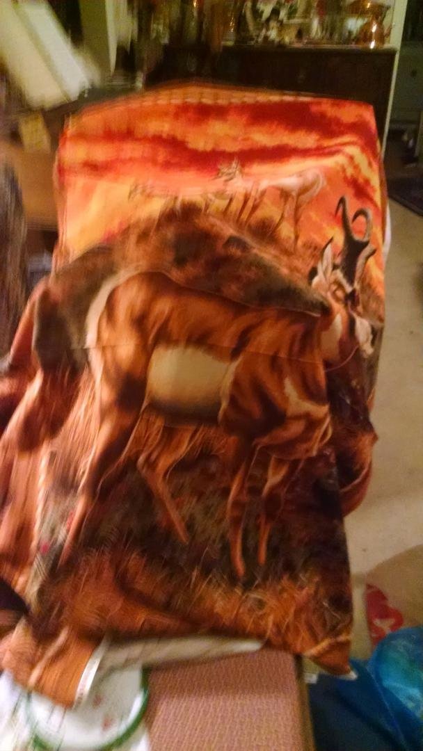 My prize purchase after 400+ miles of visiting 12 shops and getting 12 steps on my passport of quilt shops. Traveled in ID, WY, and UT