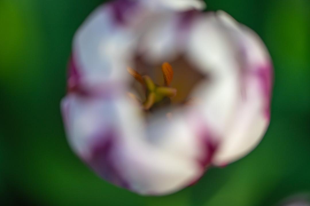 David Durkee's album, Mobile uploads