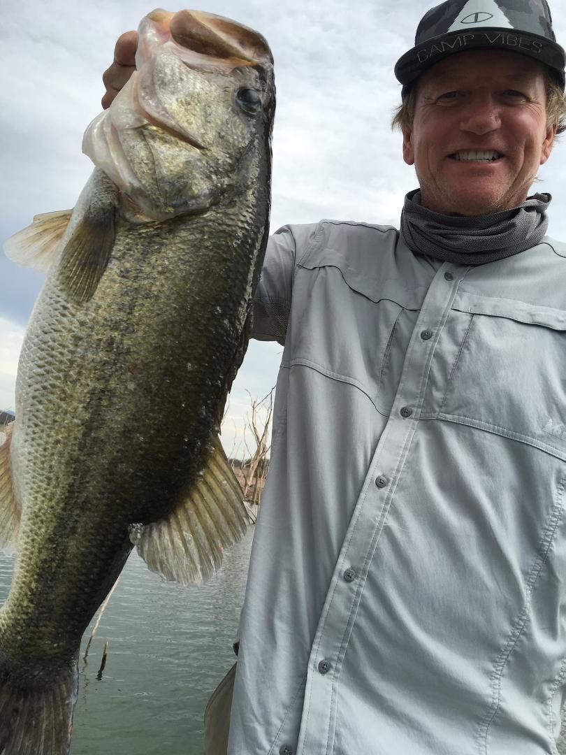 Monster Big Mouth Bass