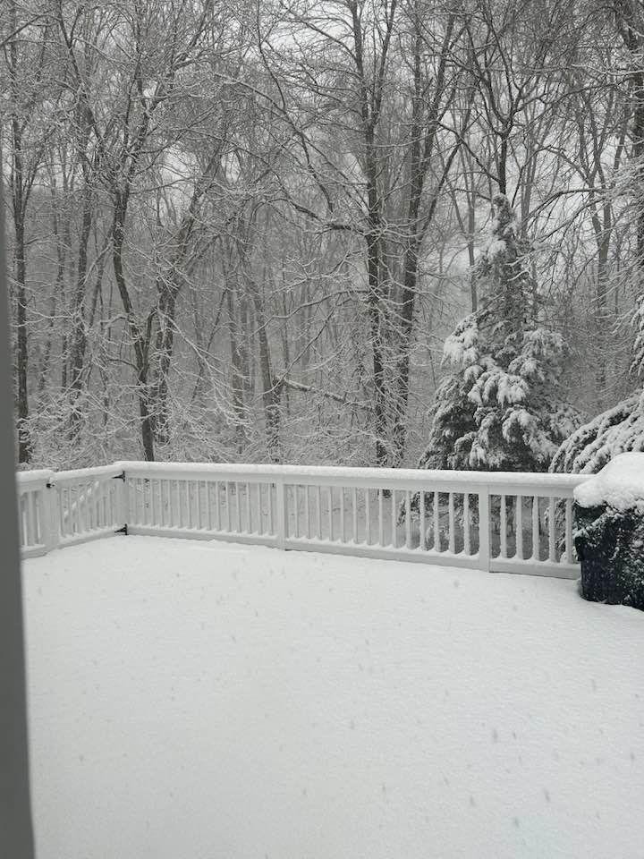 Snow day!