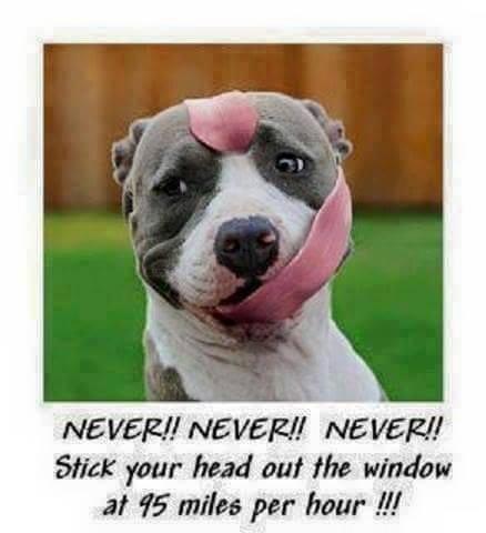 Rick Way's album, Timeline Photos
