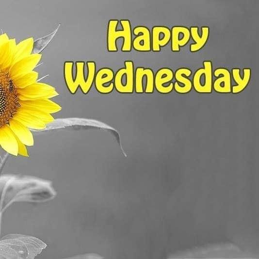 Debi Gruver's album, Timeline Photos