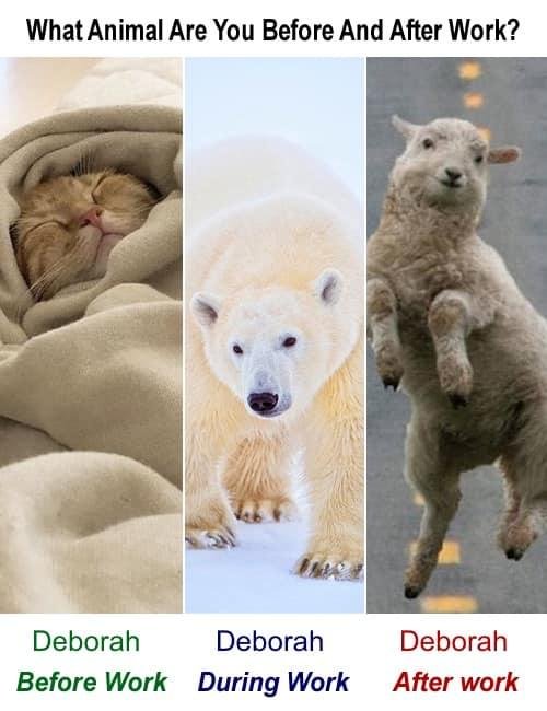 Deborah Raus' album, Timeline Photos