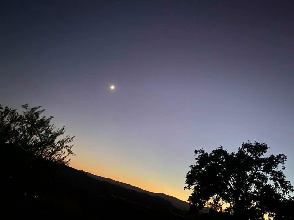 Venus and 2 trees at sundown
