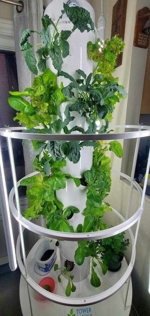 Garden towers are multi use... food, flowers or even for natural air purification... simple to set up and maintain