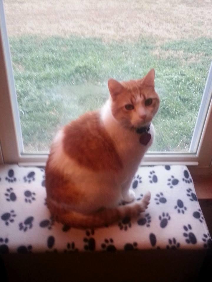 Tigger