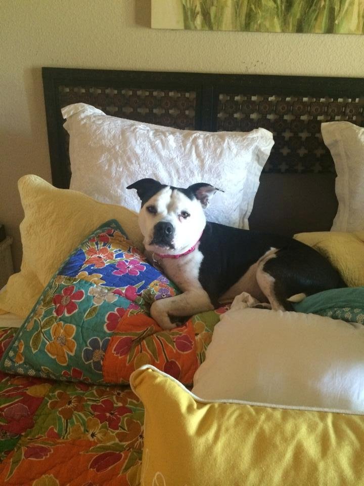 Why do I bother to make my bed LOL