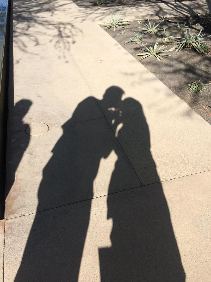 Gregory Brown's album, iOS Photos