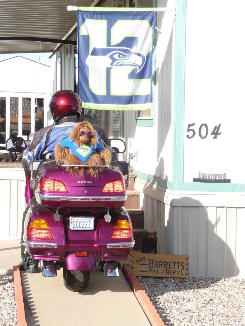 Our new mascot "Wilson" is showing off his Seahawk shirt. Go Hawks!