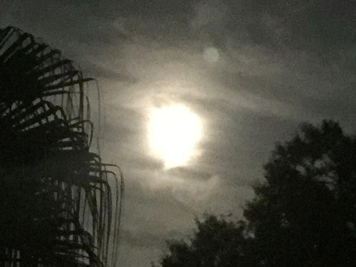 Super Moon from Houston, TX. Some clouds, but we saw it!