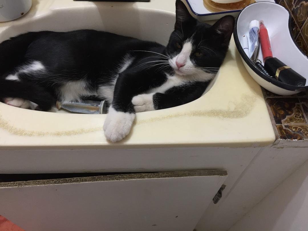 Tux