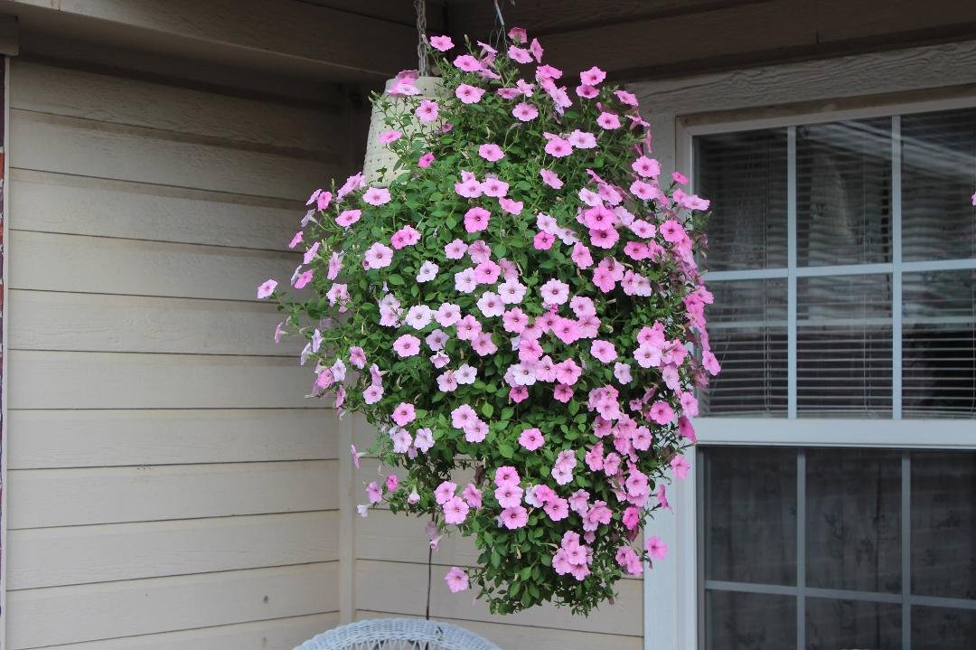 Terry Clark's album, Timeline Photos