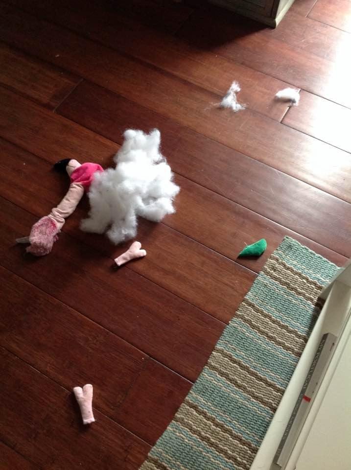 The flamingo has met its end! Only took a half hour