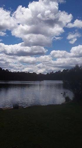 Please help protect the peace of silence in the Blue Mountains...
https://www.katoombaairfieldcommunitygroup.org/?fbclid=IwAR3PfDYl14tklEUf0o7AuAABkGs7IYSipDTpEeYJwmnoFZ4TooQMpW63UwU