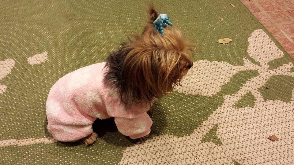 Zoe got new pajamas
