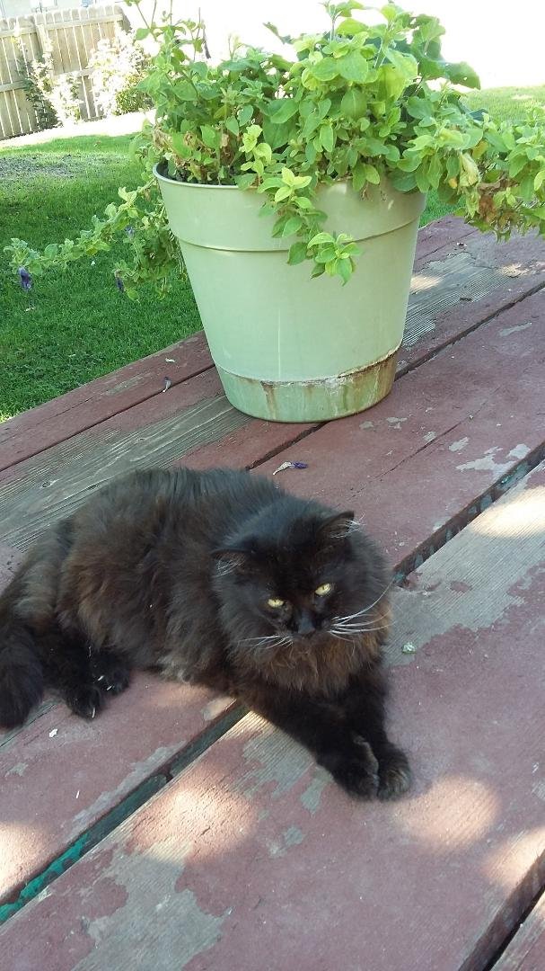 Tina