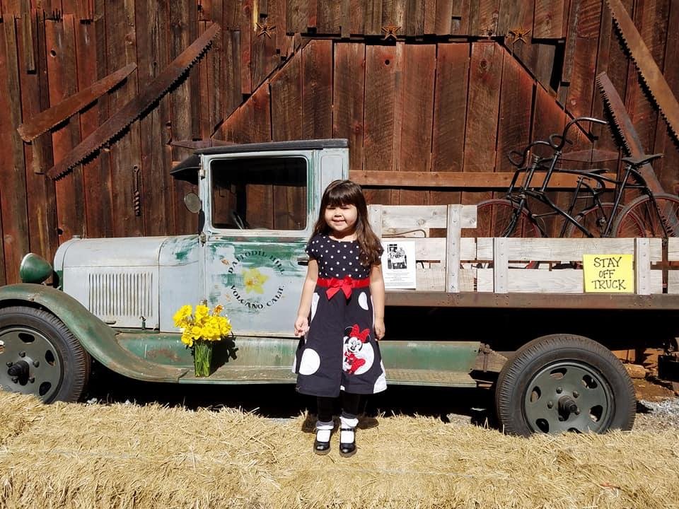 Sue Tracy's album, Mobile Uploads
