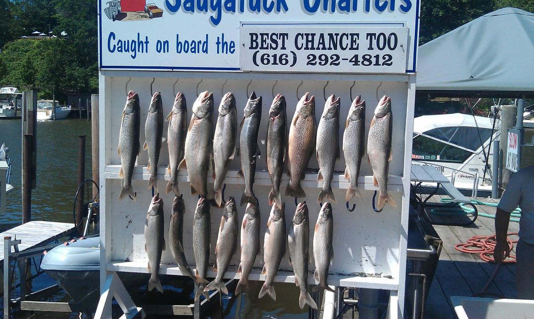 A good day of fishing - looks like trout for dinner.