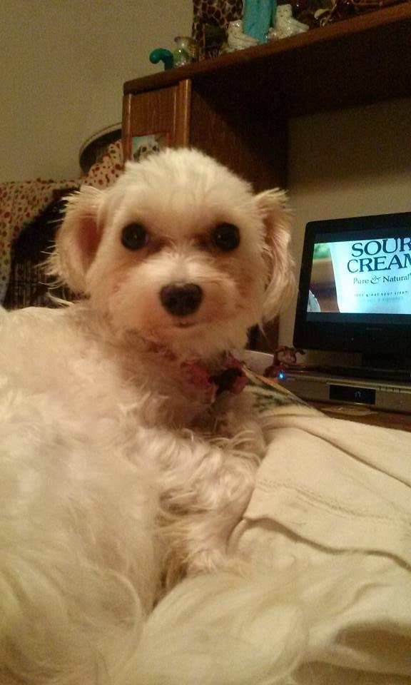 Hi im pookie renberg